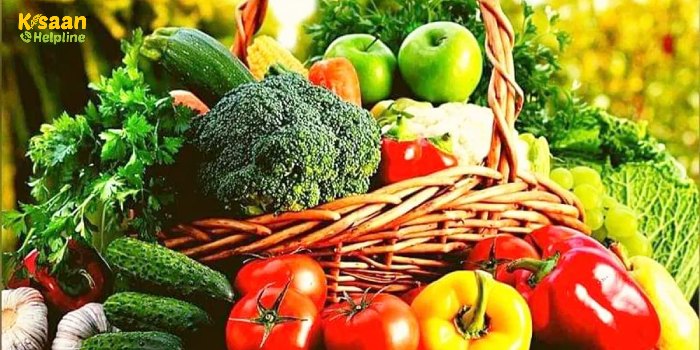 बरसात के मौसम में बंपर मुनाफा देंगी ये सब्जियां, तो जरूर करें इस मौसम में इन सब्जियों की खेती