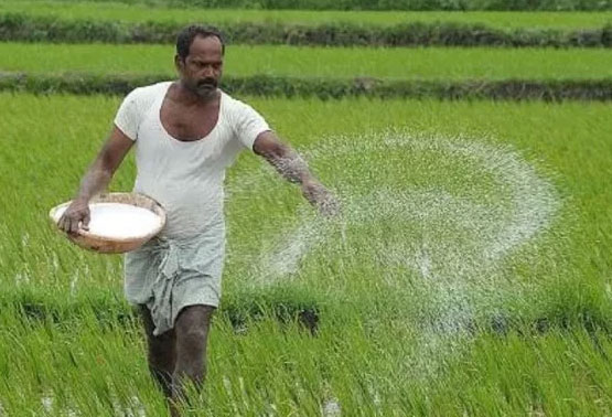 सरकार का खादों की सब्सिडी को लेकर बड़ा कदम, जाने क्या है ये फैसला