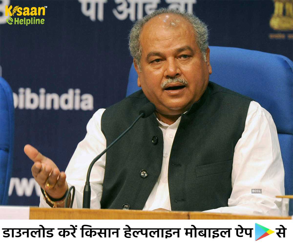 वर्ष 2014 की तुलना में एमएसपी (MSP) की खरीद दोगुनी हुई: कृषि मंत्री तोमर