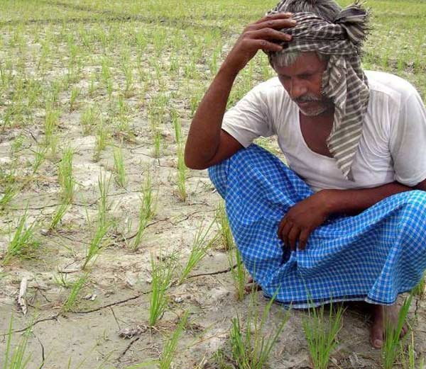 नववर्ष समारोह से सूखा पीड़ित किसानों की मदद बिजनेसमैन करेंगे मदद