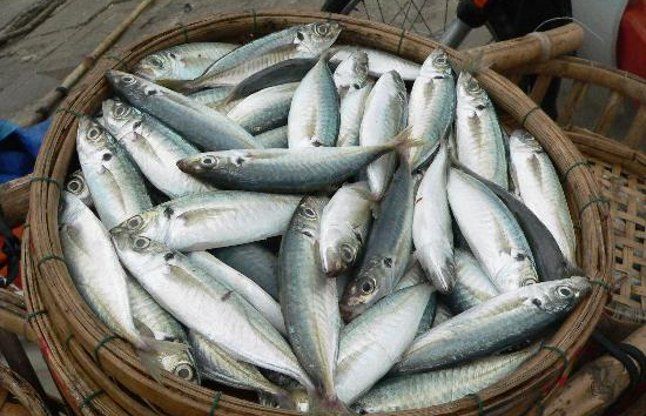 16 तालाबों में मछली पालन कर इस किसान ने बनाई अलग पहचान