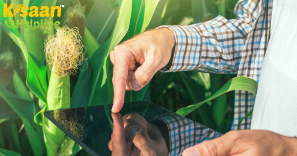 सटीक तकनीक: कृषि आय का बेहतर भविष्य