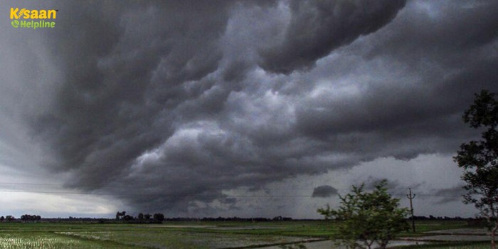 मौसम विभाग ने इन राज्यों के लिए जारी किया बारिश और आंधी का अलर्ट, किसान भाई जान लें मौसम का हाल