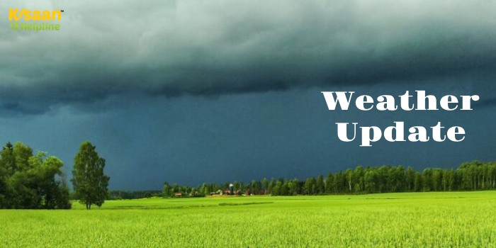 Weather Update : मौसम विभाग ने जारी किया अलर्ट, देश के इन राज्यों में होगी भारी बारिश, जानें मौसम का हाल