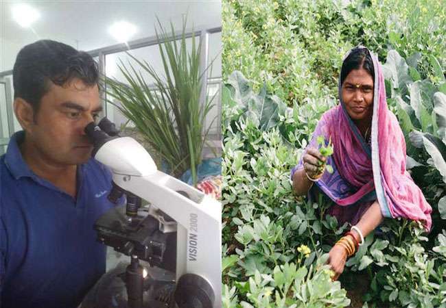 यहां बीमार पोधो का होता है उपचार, प्लांट क्लिनिक के डॉक्टर पौधों की नब्ज टटोल रहे