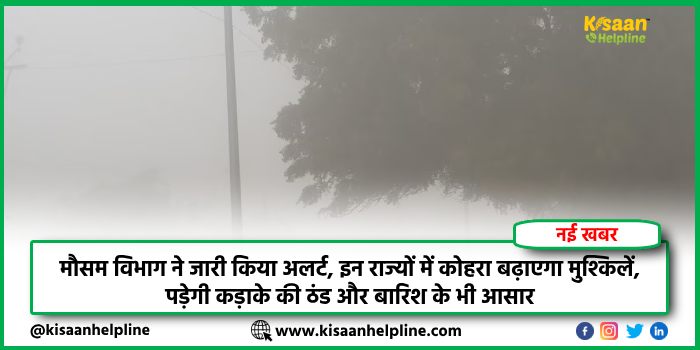 मौसम विभाग ने जारी किया अलर्ट, इन राज्यों में कोहरा बढ़ाएगा मुश्किलें, पड़ेगी कड़ाके की ठंड और बारिश के भी आसार