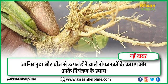 जानिए मृदा और बीज से उत्पन्न होने वाले रोगजनकों के कारण और उनके नियंत्रण के उपाय
