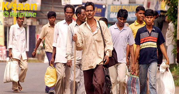 कई कृषि जिलों में कृषि मजदूरी दोगुनी हो गई क्योंकि प्रवासी मजदूर घर लोटे