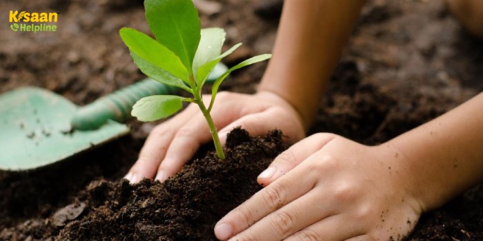 सफलता की कहानी : "जैविक मैन" नाम से मशहूर बिहार का ये किसान, गाय के गोबर से तैयार जैविक खाद से कर लेते है इतनी कमाई