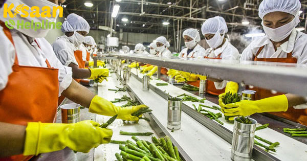 29 जून को लॉन्च हुए 'माइक्रो फूड प्रोसेसिंग एंटरप्राइजेज' को औपचारिक रूप देने की योजना