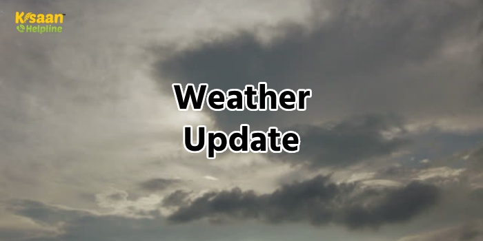 मौसम विभाग की चेतावनी, अगले पांच दिनों तक होगी भारी बारिश इन राज्यों में, जानें मौसम का नया अपडेट