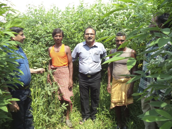 किसान फसलों में कीट प्रबंधन करें