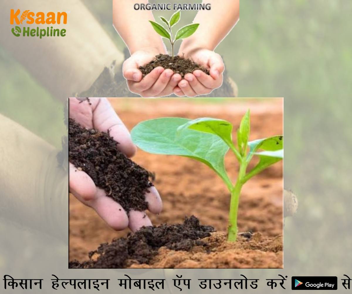 झारखंड के किसान रासायनिक से जैविक खाद की ओर कर रहे हैं रुख