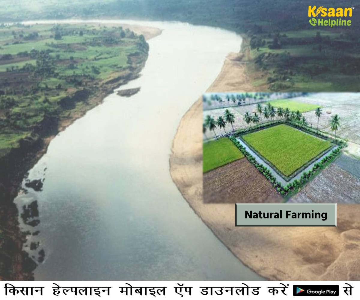 मप्र सरकार द्वारा नर्मदा नदी के किनारे की जाएगी जैविक खेती