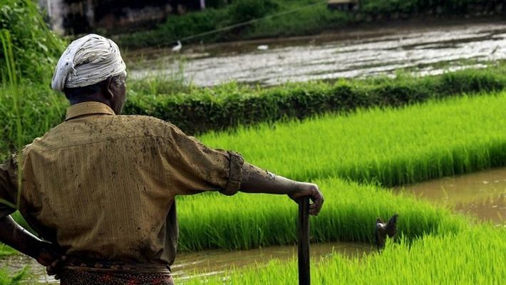 किसानों को राहत मिलेगी, कोरोना के इस संकट के समय में