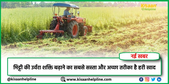 मिट्टी की उर्वरा शक्ति बढ़ाने का सबसे सस्ता और अच्छा तरीका है हरी खाद