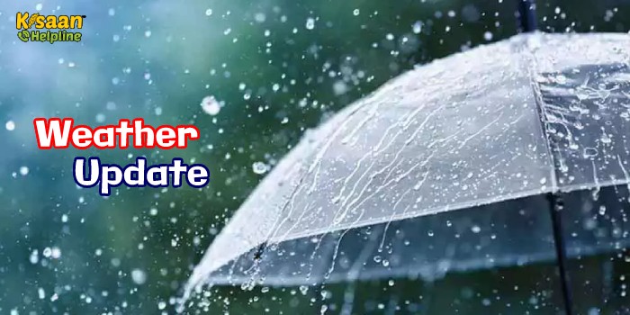 मौसम विभाग की बड़ी चेतावनी, कई राज्यों में फिर बदलेगा मौसम, जानिए अपने शहर में मौसम का हाल
