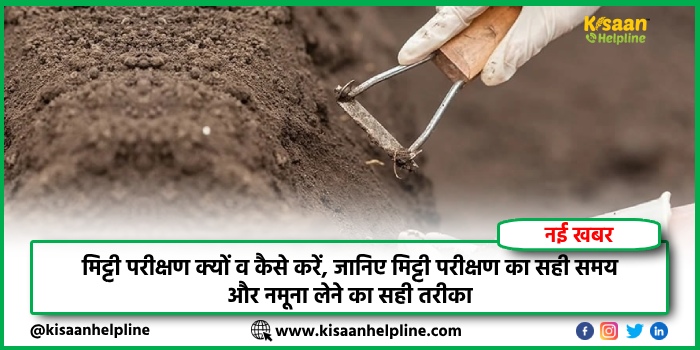 मिट्टी परीक्षण क्यों व कैसे करें, जानिए मिट्टी परीक्षण का सही समय और नमूना लेने का सही तरीका