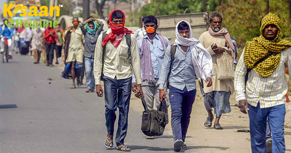 कृषि कार्य का नया रूप, धान की खेती के लिए श्रमिकों की कमी और महंगाई