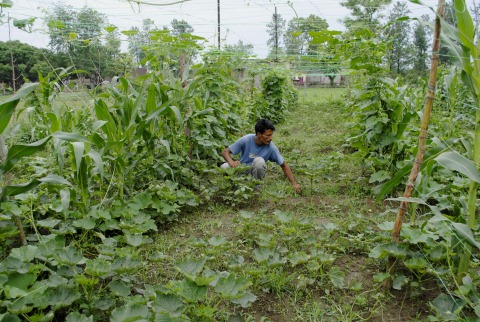 जानिए जैविक खेती से क्यों दूर हो रहे ​हैं किसान ?