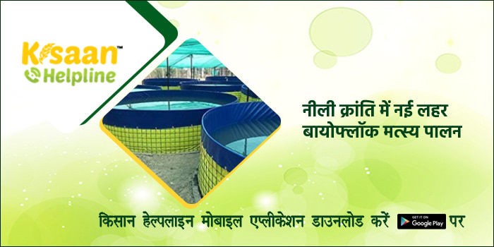 नीली क्रांति में नई लहर : बायोफ्लॉक मत्स्य पालन