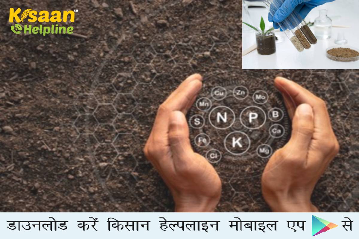 खेत में उर्वरकता के मापदंड को बनाये रखने के लिए आवश्यक है मृदा परिक्षण, जानिए मृदा परीक्षण और मृदा परीक्षण की आवश्यकता के बारे में 
