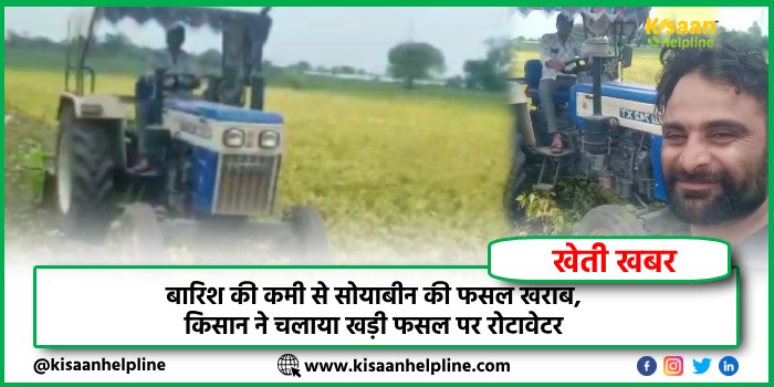 बारिश की कमी से सोयाबीन की फसल खराब, किसान ने चलाया खड़ी फसल पर रोटावेटर