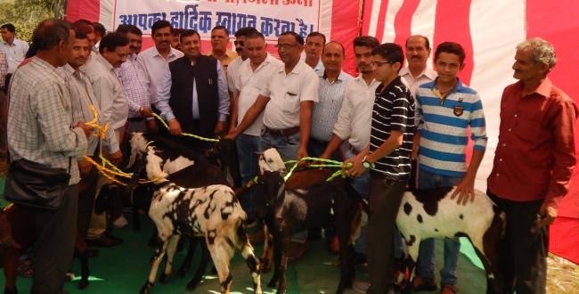 छह किसानों को दी बकरियां, सूअर पालन योजना भी होगी शुरू