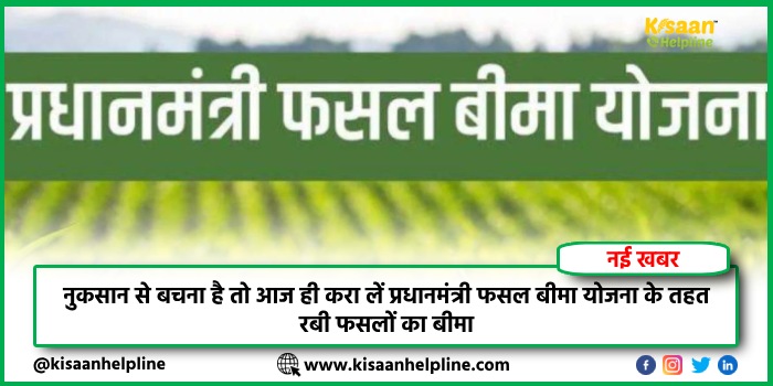 PM Fasal Bima Yojana: नुकसान से बचना है तो आज ही करा लें प्रधानमंत्री फसल बीमा योजना के तहत रबी फसलों का बीमा