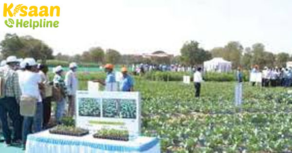 फार्म क्वीन संगोष्ठी कृषि में युवाओं के जुड़ाव को प्रोत्साहित करती है