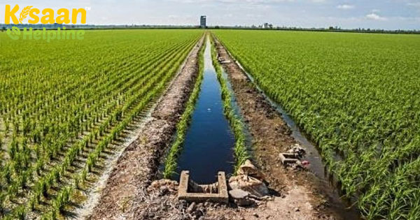 खेती की प्रगति के लिए प्रौद्योगिकी स्थायी कृषि की तलाश