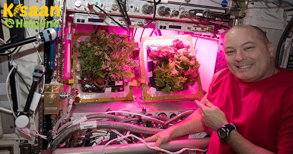 अंतरिक्ष में बड़े पौधे: PONDS जल प्रबंधन प्रौद्योगिकी प्रदान करता है