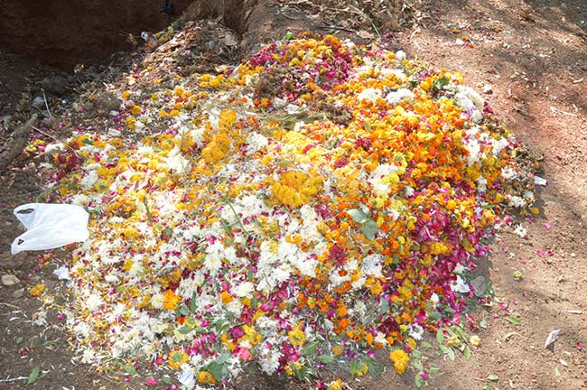 मंदिर के फूलों से बनेगी जैविक खाद, होगी फसल के लिए लाभदायक