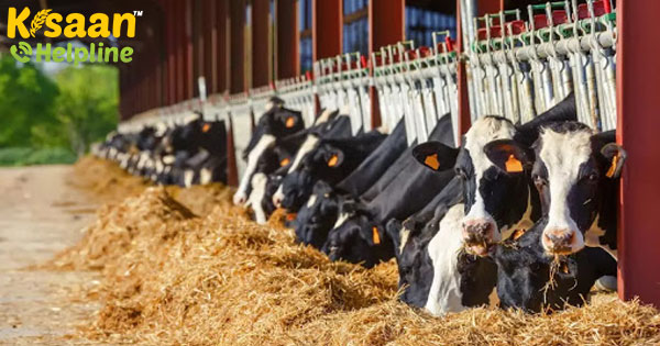 डेढ़ करोड़ डेयरी किसानों के लिए शुरू किया गया किसान क्रेडिट कार्ड अभियान