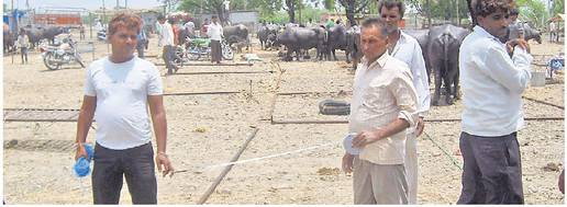 पंचायत ने काटे प्लाॅट, हर व्यापारी को बताई हद