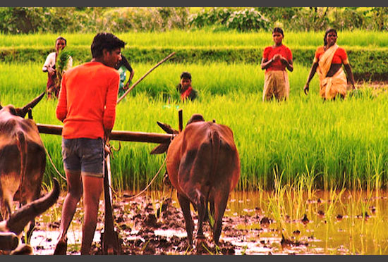 द मिलियन फार्मर्स स्कूल (किसान पाठशाला) -UP