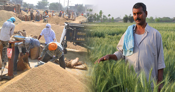 खुशखबरी! किसानों को मिलेगा अब 160 रुपये का बोनस, गेहूं अब 2,000 रुपये प्रति क्विंटल बिकेगा