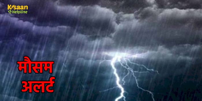 IMD Rainfall Alert: इन राज्यों में आज होगी बारिश, जानें मौसम का ताजा हाल