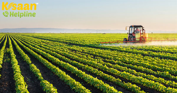 कृषि क्षेत्र COVID-19 प्रभाव से लचीला रहने की संभावना, वित्त वर्ष 21 में 2.5% बढ़ेगा: क्रिसिल