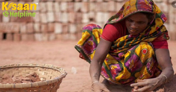 मनरेगा मजदूरों की मजदूरी बैंक खाते में देने के लिए कदम उठा रही सरकार: नरेंद्र सिंह तोमर