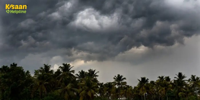 IMD Monsoon Update: मौसम विभाग ने जारी किया मानसून को लेकर बड़ा अपडेट, मानसून के लिए अभी करना होगा और इंतजार