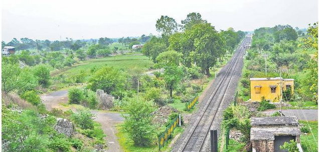 बारिश न सही हरियाली से कर लें संतोष