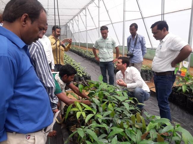 स्वस्थ पौधे उगाने में इजराइल की तकनीक है मददगार