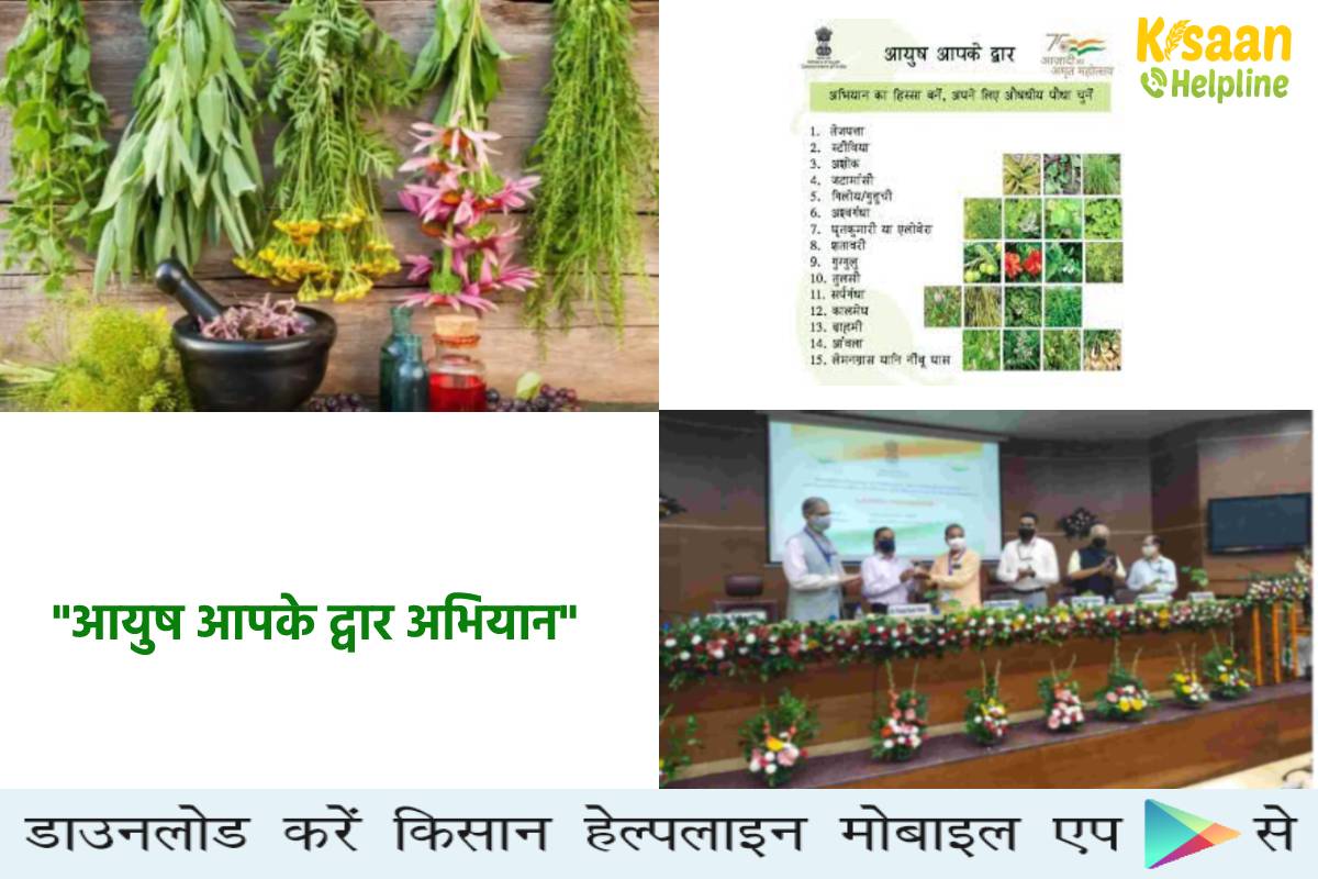 2 लाख से अधिक औषधीय पौधे वितरित किए जाएंगे 21 राज्यों में, आयुष मंत्रालय की बड़ी पहल