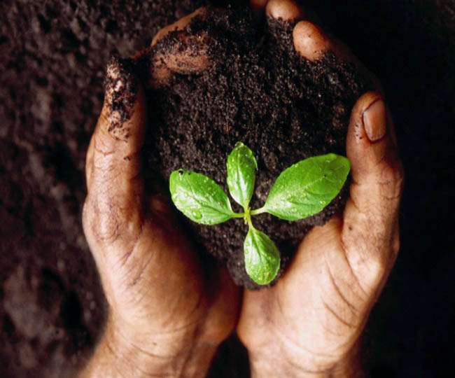 ज्ञानी लोगो से जब बात मिट्टी की करें तो हाव-भाव देखने लायक होते