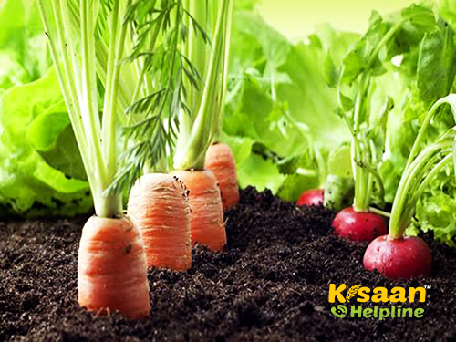  जैविक खेती के लिए बिहार देगा अब किसानो को राज्य में ही मान्यता