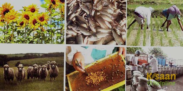 जानिए खेती से जुड़े अन्य व्यवसाय के बारे में