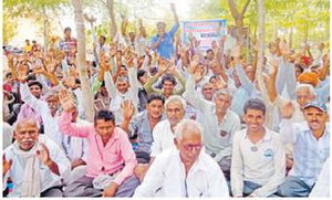 सरकार शून्य पर अफीम के पट्टे दे, नुकसान की भरपाई जरूरी