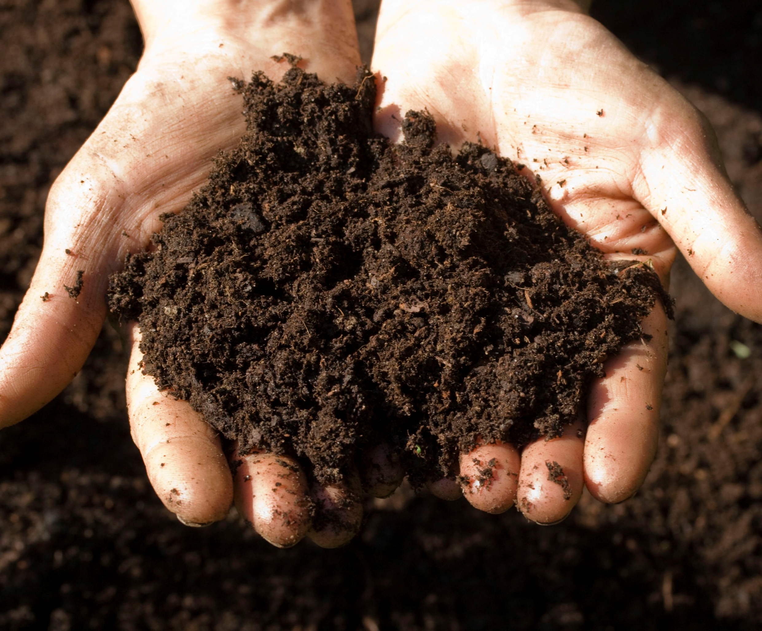 आर्गेनिक खाद का प्रयोग कर बढ़ाये अपनी फसल का उत्पादन और गुणवत्ता, जाने पूरी विधि