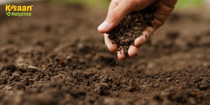 भारत ने पिछले 45 वर्षों में मिट्टी के स्वास्थ्य को नष्ट कर दिया: सद्गुरु का वृक्ष आधारित कृषि का आह्वान